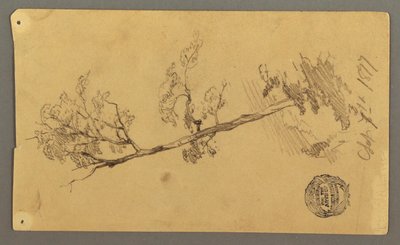 Dibujo, Árbol, 1877 de Frederic Edwin Church