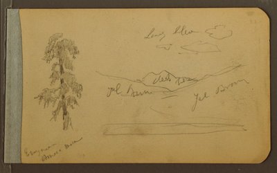 Dibujo, Árbol, montañas, 1889 de Frederic Edwin Church