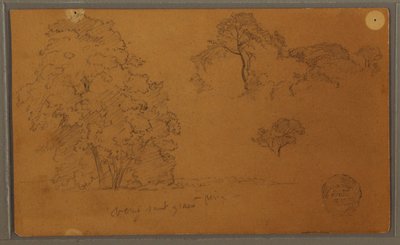 Dibujo, Árboles, 1857 de Frederic Edwin Church