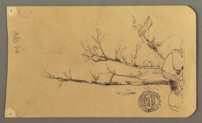 Dibujo, Árboles, cantos rodados, 1878 de Frederic Edwin Church