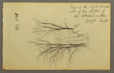 Dibujo, Árboles de Htakie () Pond, 1845 de Frederic Edwin Church