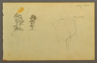 Dibujo, Árboles, vaca, 1844 de Frederic Edwin Church