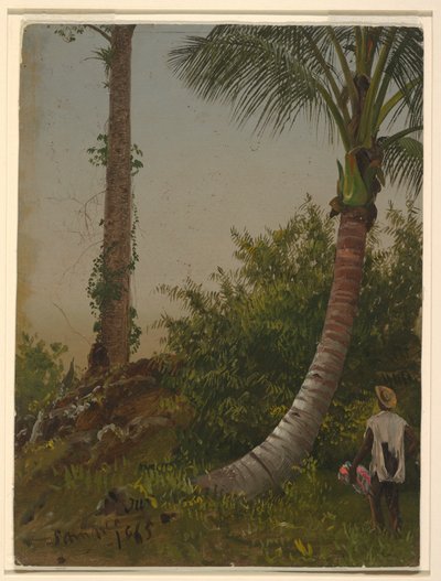 Dibujo, Árboles en Jamaica, Antillas, 1865 de Frederic Edwin Church