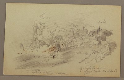 Dibujo, Árboles, posiblemente 1860s de Frederic Edwin Church