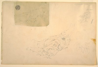 Dibujo, Dos manos temblorosas, raíces de árbol nudosas, septiembre de 1844 de Frederic Edwin Church