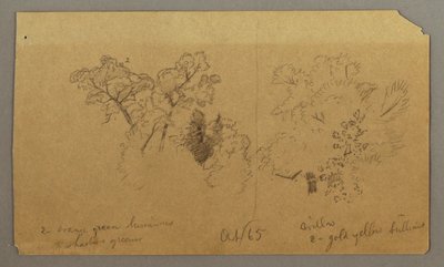 Dibujo, Dos estudios de árboles, octubre de 1865 de Frederic Edwin Church