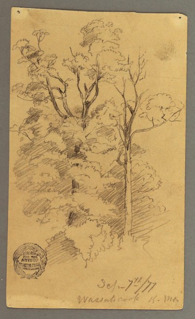 Dibujo, Dos árboles, 1877 de Frederic Edwin Church