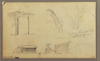 Dibujo, Vistas de la ribera oriental del río Guayas, frente a Guayaquil, Ecuador, mayo de 1857 de Frederic Edwin Church