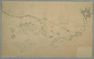 Dibujo, Valle boscoso con un gran helecho y cordilleras lejanas, Jamaica, julio de 1865 de Frederic Edwin Church