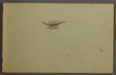 Dibujo, Inmersión boscosa al atardecer, posiblemente 1844 de Frederic Edwin Church