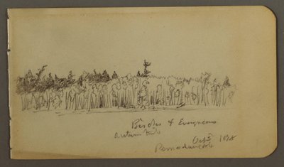 Dibujo, Orilla arbolada, 1878 de Frederic Edwin Church
