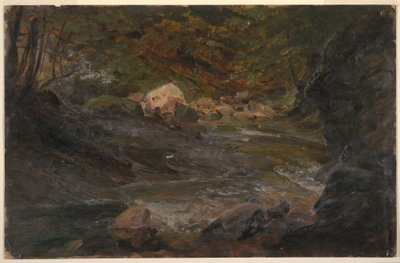 Dibujo, Arroyo del bosque, 1850-60 de Frederic Edwin Church