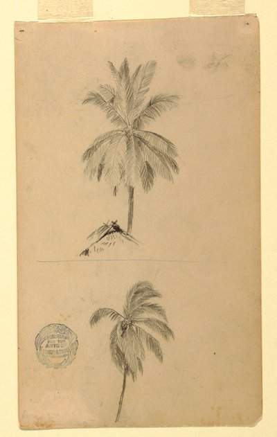 Dibujos. Dos bocetos. Palmas. de Frederic Edwin Church