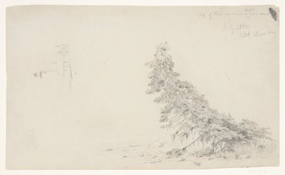 Árbol perenne cerca de la costa con un detalle del faro y una casa, Mount Desert, Maine de Frederic Edwin Church