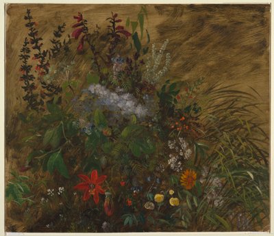Flores en Jamaica de Frederic Edwin Church