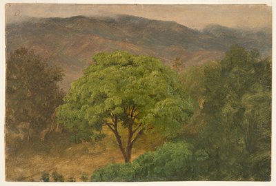 Árbol de genip en las montañas, Jamaica de Frederic Edwin Church