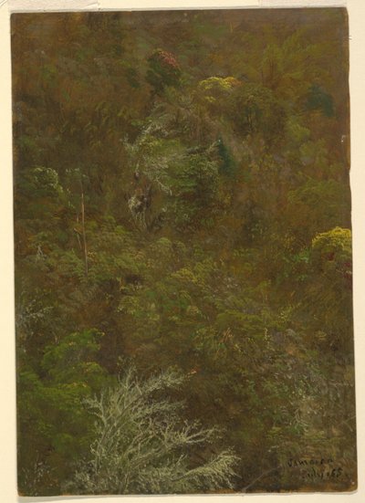Ladera con Árboles, Jamaica de Frederic Edwin Church