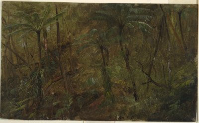 En el bosque, Jamaica de Frederic Edwin Church