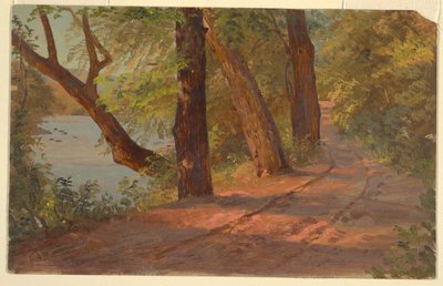 Paisaje de América del Norte (Camino junto a un lago) de Frederic Edwin Church
