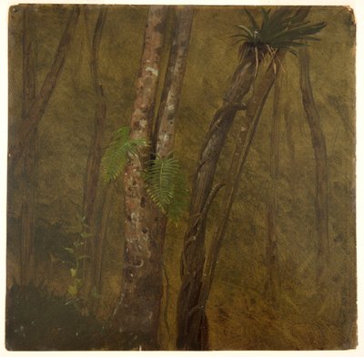 Paisaje en Jamaica de Frederic Edwin Church