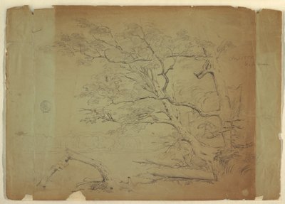 Paisaje con árboles y un arroyo [?], Isla Grand Manan, Canadá de Frederic Edwin Church