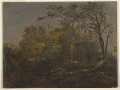 Bosques de Maine de Frederic Edwin Church