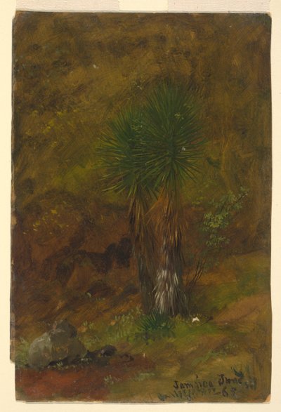 Palmeras, Jamaica de Frederic Edwin Church