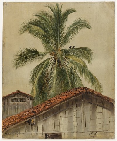 Palmeras y tejados, Ecuador de Frederic Edwin Church