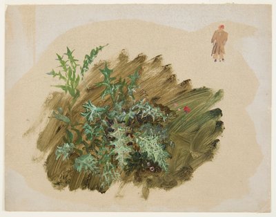 Estudios de Plantas de Frederic Edwin Church