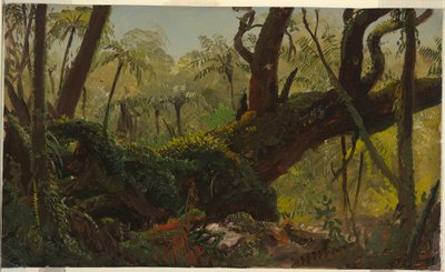 Selva Tropical, Jamaica de Frederic Edwin Church
