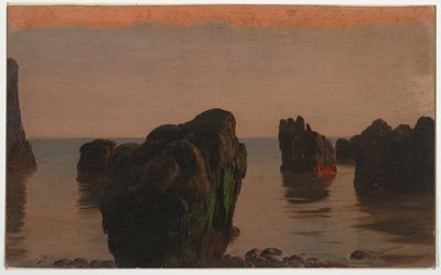 Rocas y musgo en Grand Manan de Frederic Edwin Church