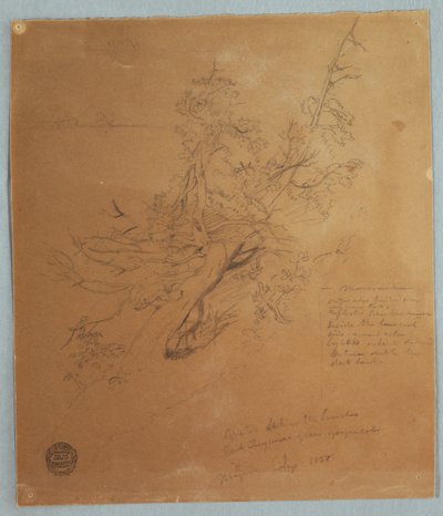Árbol rugoso en el banco canadiense debajo de las Cataratas del Niágara de Frederic Edwin Church