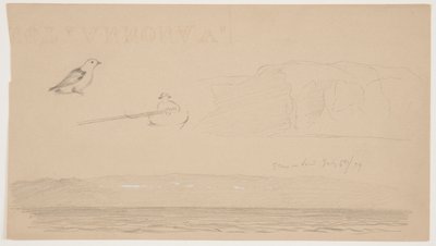 Bocetos de Labrador de nieve en tierra, hombre en bote y pájaro de Frederic Edwin Church