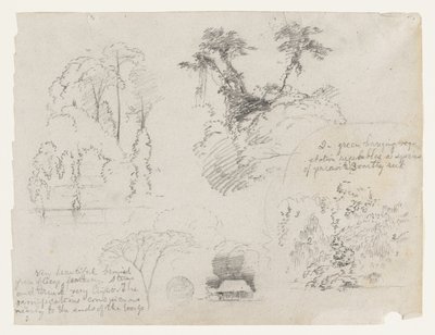 Bocetos de América del Sur, probablemente de Colombia.  Bocetos botánicos.  Una casa. de Frederic Edwin Church
