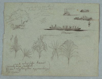 Bocetos del río Magdalena, Colombia: Plantas, vapor y un champán de Frederic Edwin Church