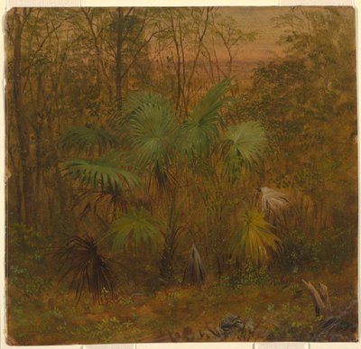 Palma de paja, Jamaica de Frederic Edwin Church