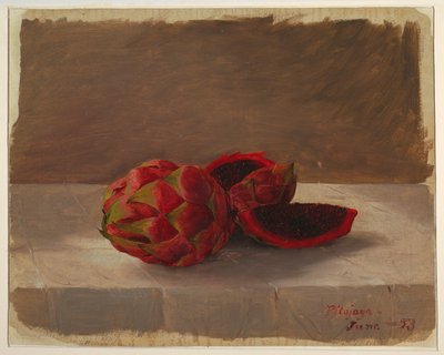 La fruta Pitajaya, Colombia de Frederic Edwin Church