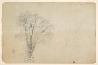 Árboles de Frederic Edwin Church
