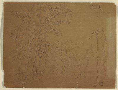 Árboles, Isla Grand Manan, Canadá de Frederic Edwin Church