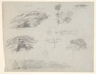 Árboles, copas de árboles y un banco boscoso, Saddleback, Maine de Frederic Edwin Church