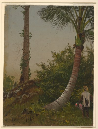 Árboles en Jamaica, Indias Occidentales de Frederic Edwin Church