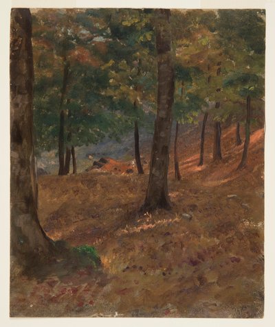 Escena de bosque de Frederic Edwin Church