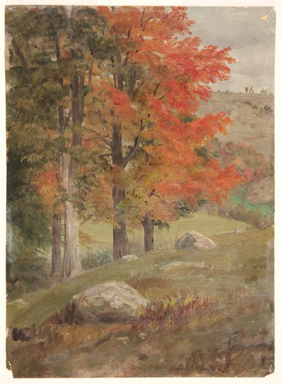 Bosques en Otoño de Frederic Edwin Church