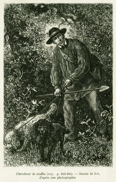 Un buscador de trufas. Grabado por Lix para ilustrar la historia A través de Alsacia y Lorena, por Charles Grad, diputado alemán, en 1884, en le tour du monde 1886, dirigido por Edouard Charton (1807-1890), Hachette, París. de Frederic Theodore Lix
