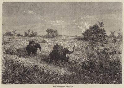 India y el Príncipe de Gales, Caza de Tigres desde el Howdah de Frederic Theodore Lix
