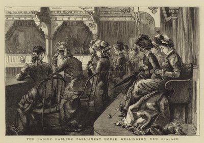La Galería de Damas, Parlamento, Wellington, Nueva Zelanda de Frederic Villiers