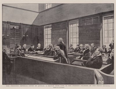 El propuesto Tribunal Imperial de Apelación, un boceto de la vida en la actual Cámara del Consejo Privado de Frederic de Haenen