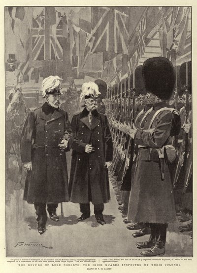 El Regreso de Lord Roberts, los Guardias Irlandeses Inspeccionados por su Coronel de Frederic de Haenen