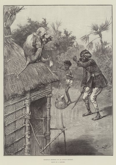 Robo en la carretera por un mono indio de Frederick Barnard