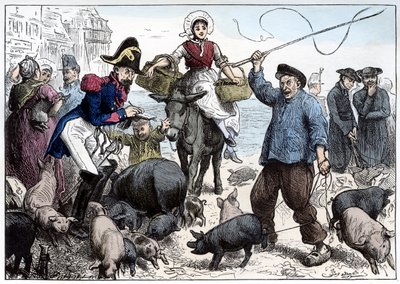 Mercado de cerdos, Boulogne de Frederick Barnard